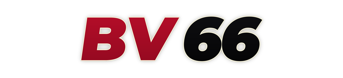 bv66